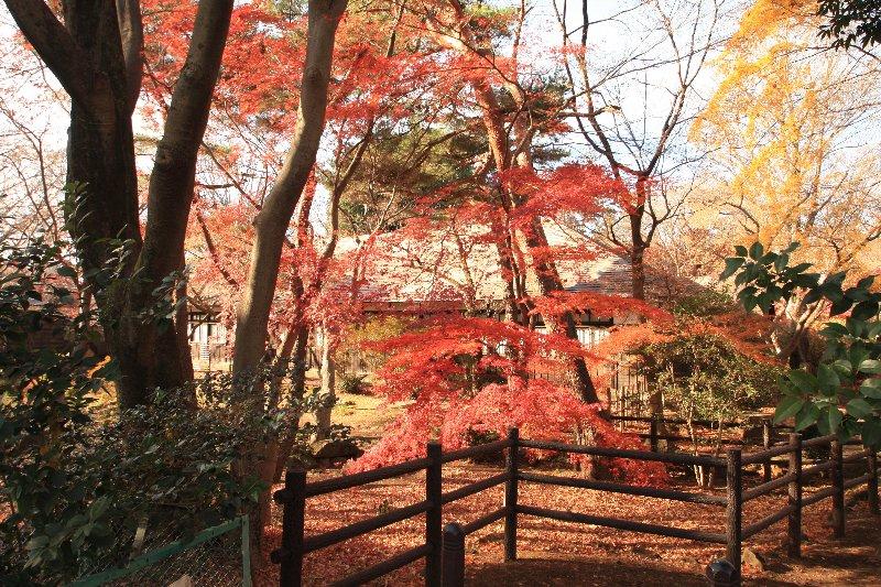 park. 400m until Yokuonkan park