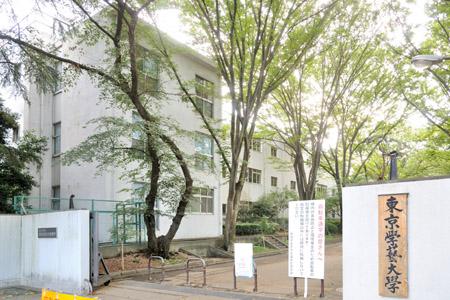 Primary school. Tokyogakugeidai 1147m to annex elementary and junior high schools