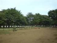 park. Koganei Park Until the dog run 140m