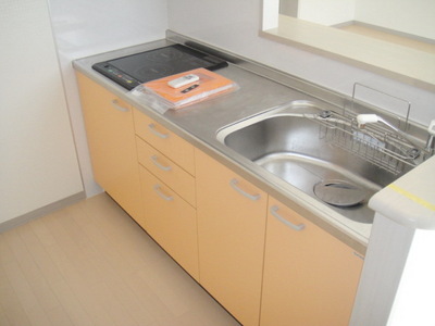 Kitchen. System kitchen