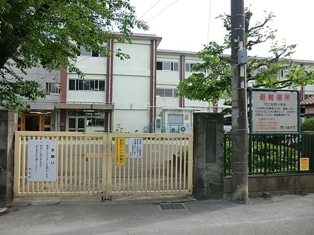 Primary school. Koganei City Maehara 400m up to elementary school