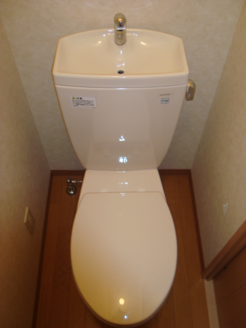 Toilet.  ☆ Beautiful toilet ☆ 