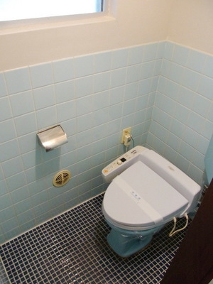 Toilet. Heating hot water washing toilet seat