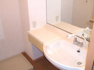 Washroom. Large mirror vanity such as hotels