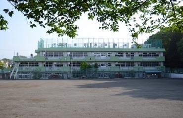 Primary school. Koganei Minami to elementary school 876m