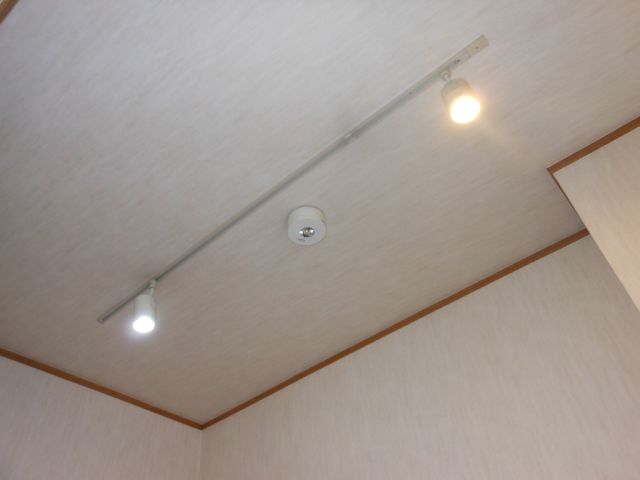 Living and room. It comes with a stylish downlight
