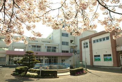 Primary school. Koganei Tatsuhigashi to elementary school 492m
