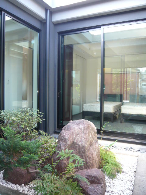 Garden. courtyard