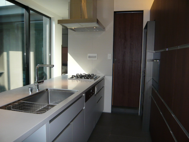 Kitchen. sink