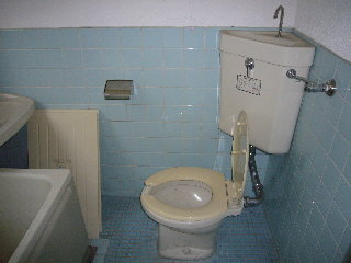 Toilet. Toilet