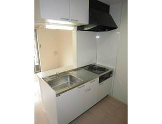 Kitchen. Widely and easy to use system Kitchen