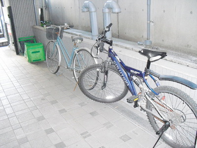 Parking lot. Bicycle parking space