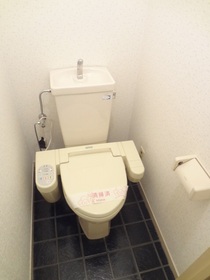 Toilet. With cleaning function toilet seat