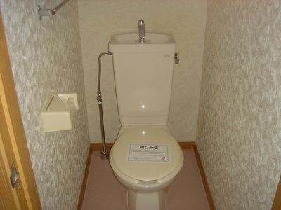 Toilet. Toilet