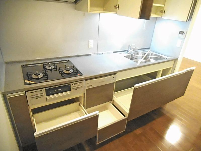 Kitchen. System kitchen with a dishwasher