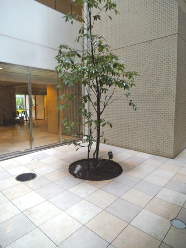 Other common areas. Common areas