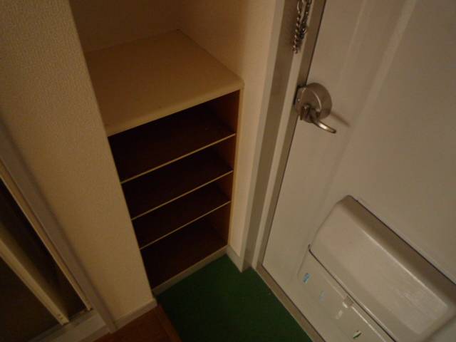 Entrance. Shoe box with space