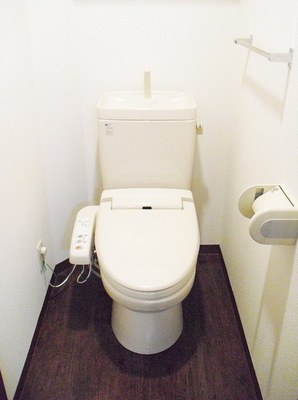 Toilet. Toilet