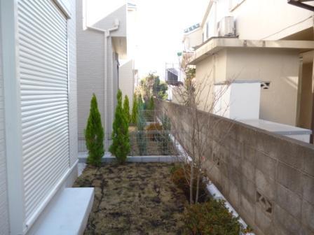 Garden. garden Photo (December 15, 2013) Shooting