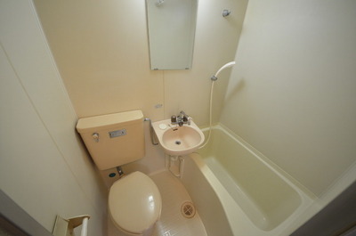 Bath. Spacious bathroom