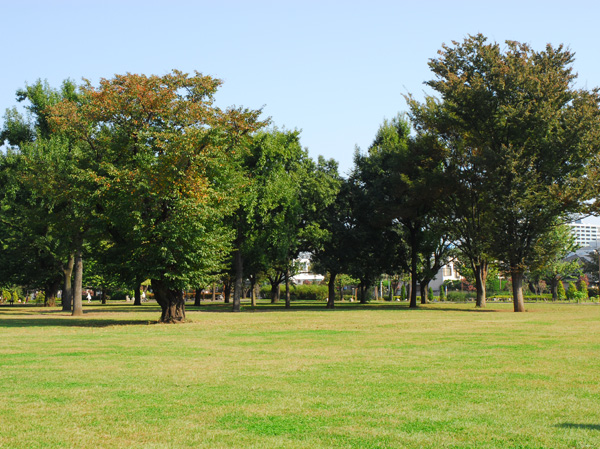 Surrounding environment. Metropolitan Musashi Kokubunji park (about 700m from local ・ A 9-minute walk)