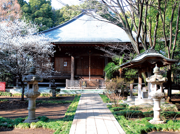 Surrounding environment. Kokubunji Yakushido (about than local 1070m ・ A 14-minute walk)