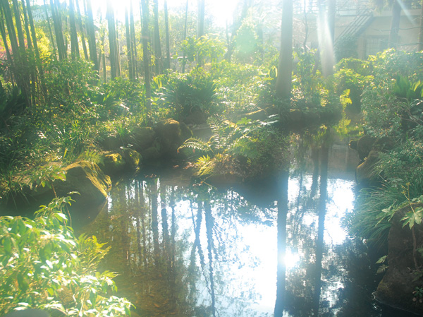 Surrounding environment. Kokubunji Sugataminoike (about than local 940m ・ A 12-minute walk)