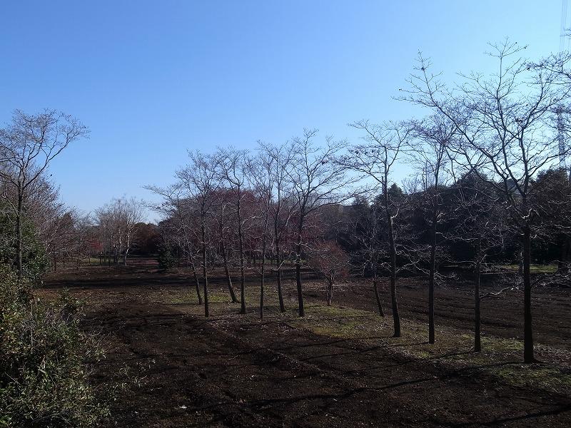 Other. South side adjacent land green space