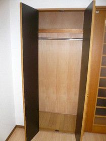 Other. closet