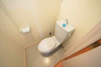 Toilet. Toilet