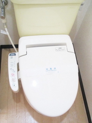 Toilet. Toilet