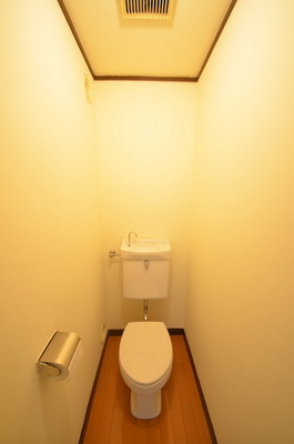 Toilet.  ☆ Clean toilet ☆