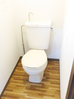 Toilet. Toilet