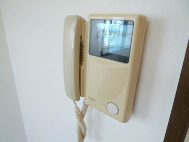 Security. Monitor with intercom