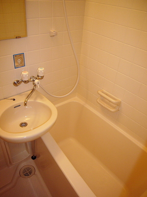 Bath. Bathing of easy-to-use unit type