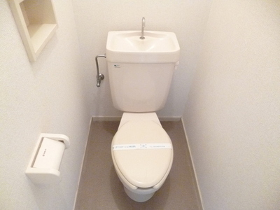 Toilet. There is also a shelf