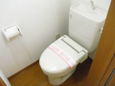 Toilet. Clean toilet