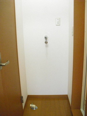 Washroom. Is Indoor Laundry Area