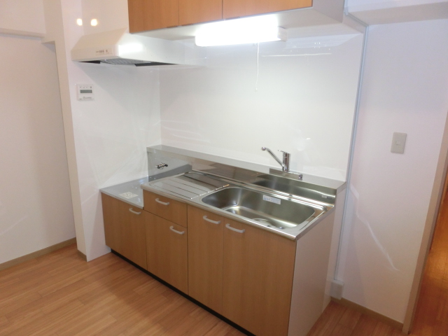 Kitchen. kitchen Two-burner gas stove installation Allowed Full renovation is a new article!