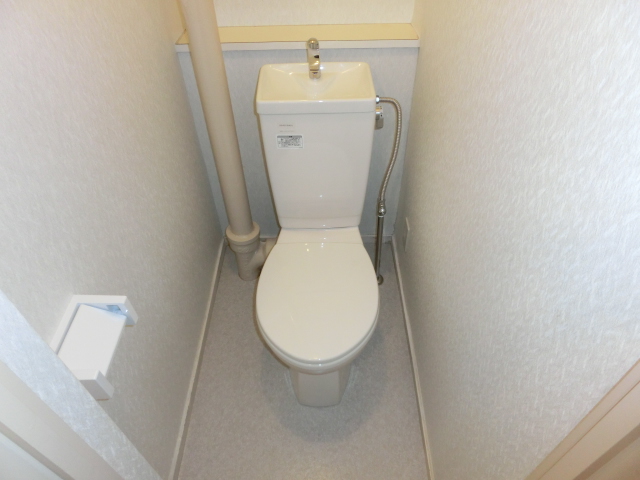 Toilet. toilet Full renovation is a new article