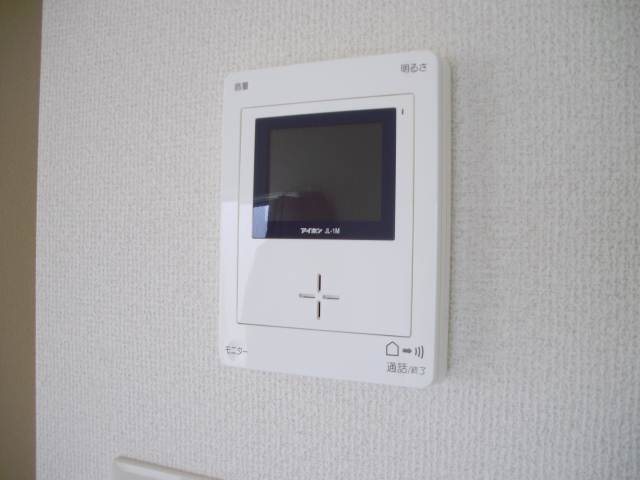 Security. Monitor with intercom