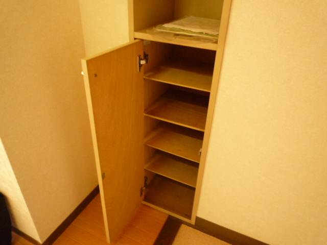 Entrance. Shoe box