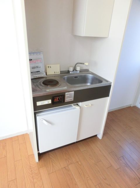 Kitchen. The kitchen is equipped with electric stove