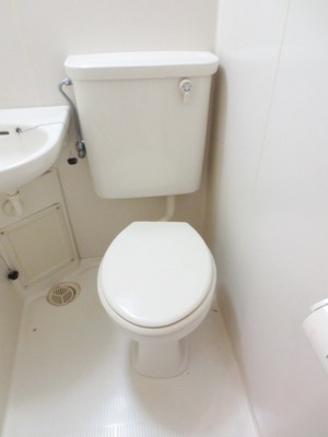 Toilet. Toilet