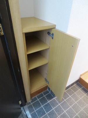 Entrance. Shoe box