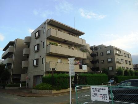 Local appearance photo. Local (10 May 2013) taken from the shooting north-northwest side