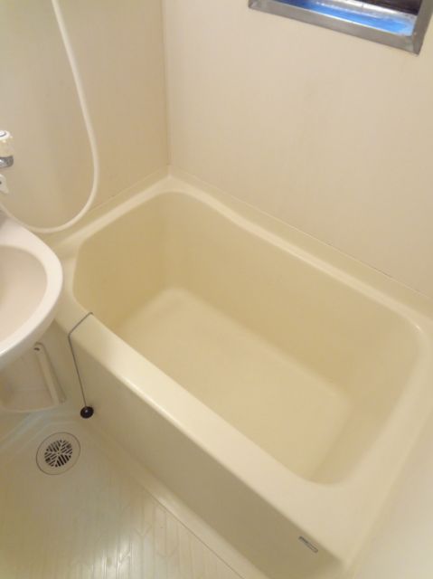 Bath. It is a bath with a wash basin