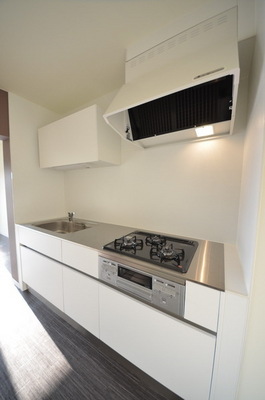 Kitchen. 3-neck new systems with a kitchen grill