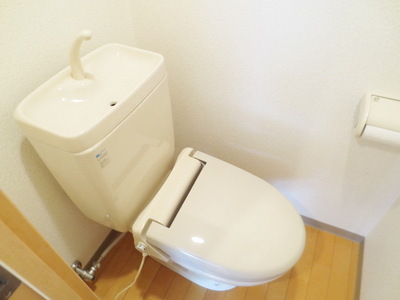 Toilet. Toilet