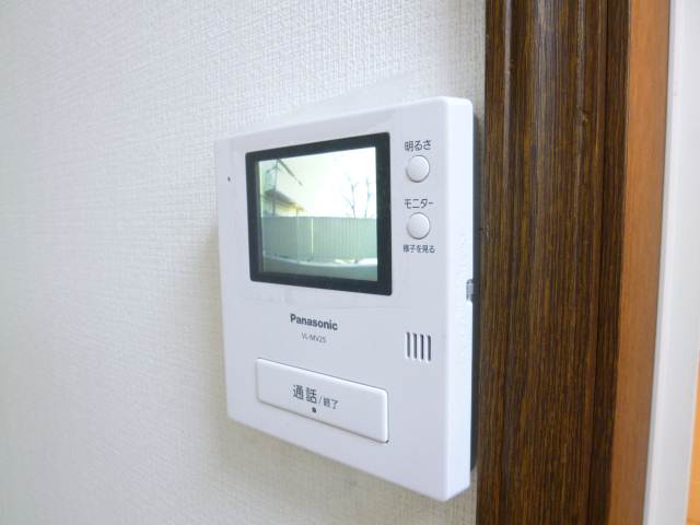 Security. Monitor with intercom